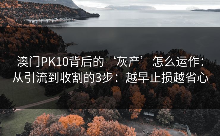 澳门PK10背后的‘灰产’怎么运作：从引流到收割的3步：越早止损越省心